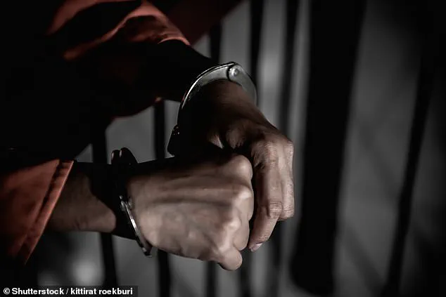 Inside Maximum-Security Prisons: A Former Inmate's Account of Contradictions and Conditions