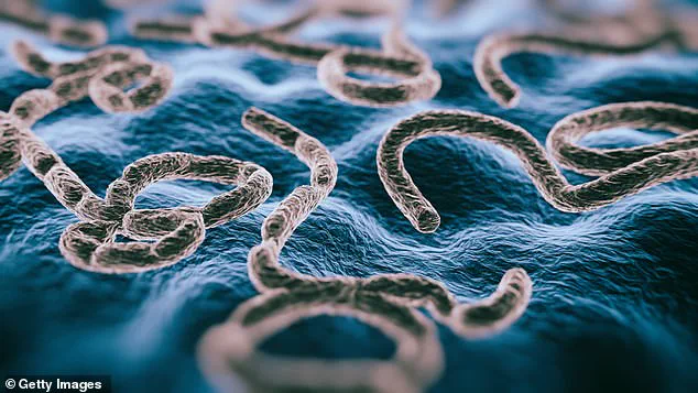 DRC Faces 16th Ebola Outbreak with 15 Deaths and 28 Cases, Prompting Investigations in Kasai Province