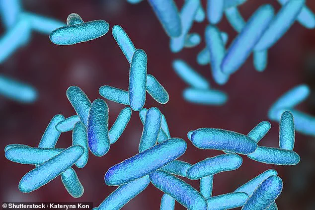 Resurfaced Study Reveals Reusable Bottles May Harbor Deadly Bacteria, Health Experts Sound Alarm