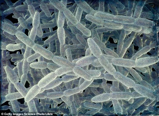 Legionnaires' Disease Outbreak in Westchester County Claims Two Lives, Prompting Health Alerts