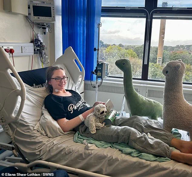 Young Woman's Sudden Health Crisis Sparks Questions About Healthcare Access and Emergency Response