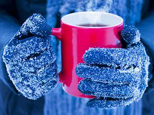 The Domestic Battle Over Autumn Heating: A Clash of Preferences and Policies