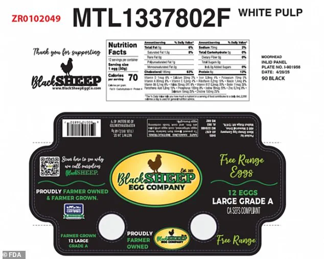 Black Sheep Egg Company Issues Voluntary Recall Over Salmonella Contamination Concerns