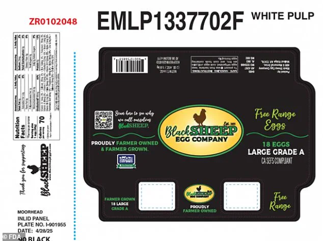 Black Sheep Egg Company Issues Voluntary Recall Over Salmonella Contamination Concerns