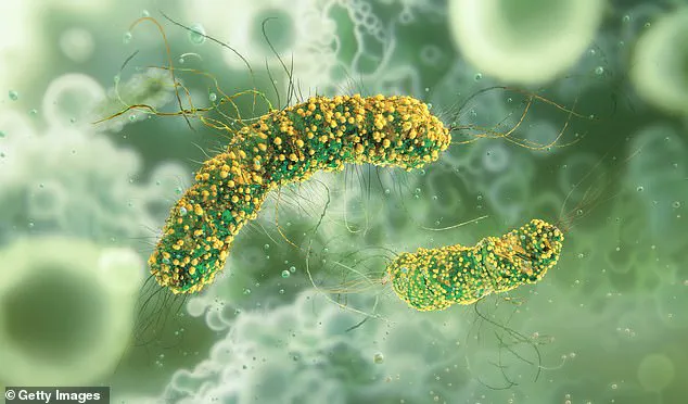 Regulatory Measures Prompt Massive Pasta Recall to Mitigate Listeria Risk and Protect Public Health