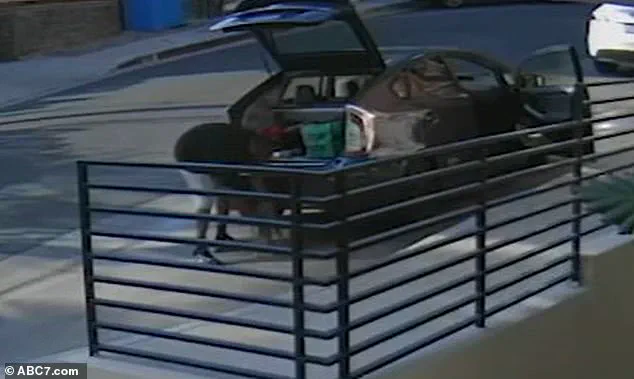Los Angeles Delivery Driver Allegedly Steals 20-Pound Tabby Cat Floki, Owner Launches Search