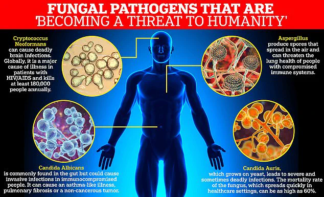 Urgent Alert: Antibiotic-Resistant Infections Surge to Crisis Levels, WHO Reports 1 in 6 Cases Resistant in 2023