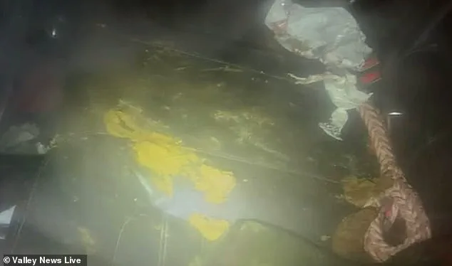 Community Outrage and Legal Scrutiny Follow Discovery of Dogs Trapped in Cold Weather Car in Minnesota