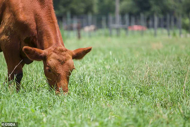 New U.S. Food Labeling Rule Set to Take Effect in 2026 Sparks Debate Among Farmers, Processors, and Advocates