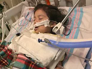 New H3N2 Subclade K Flu Strain Sparks Crisis as Hospitals Overwhelmed, CDC Reports 32 States at 'Very High' Activity