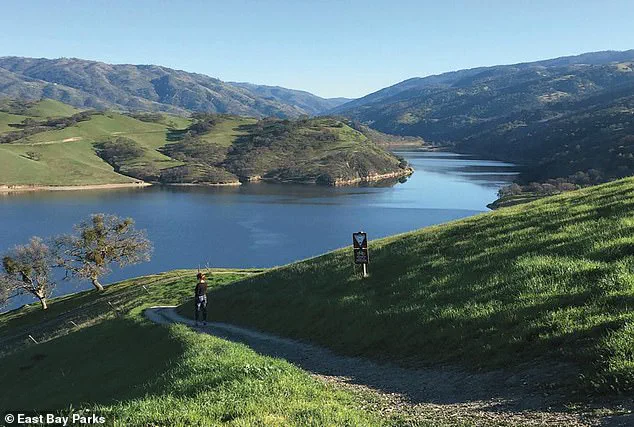 California Faces Surge in Death Cap Mushroom Poisonings: Three Fatalities Prompt Health Advisories to Avoid Wild Mushrooms