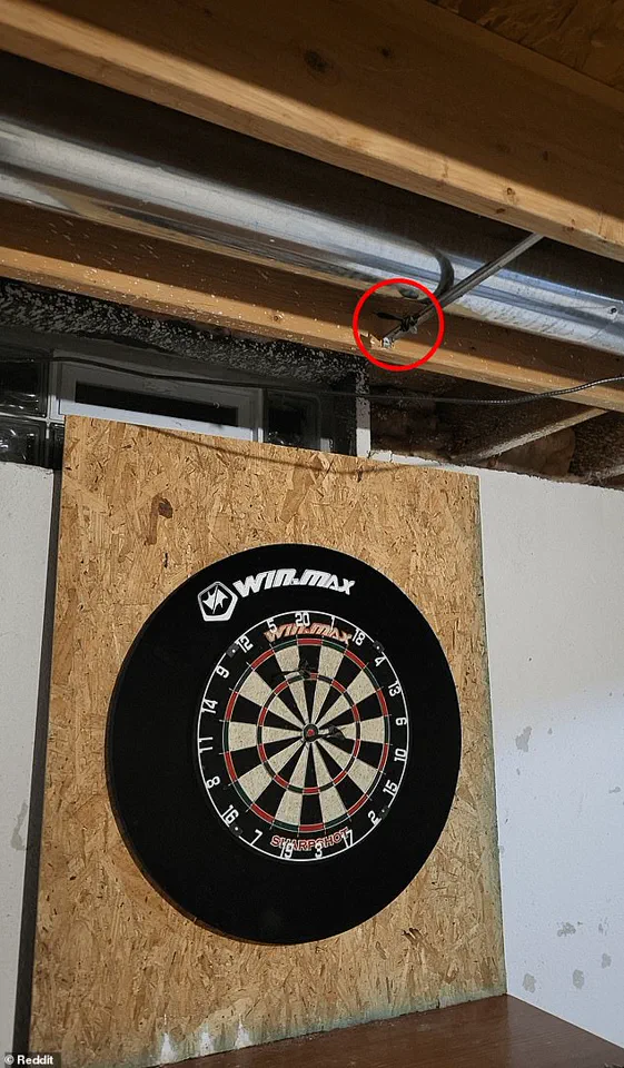 Mystery Deepens as Reddit Users Debate Location of Missing Dart in Viral Image