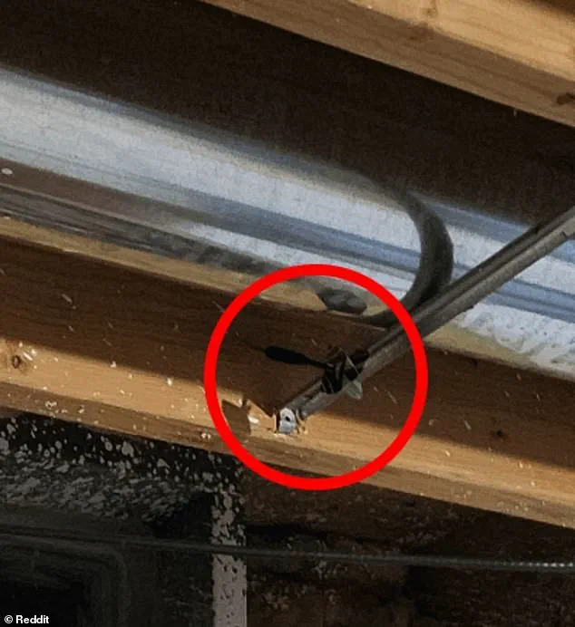 Mystery Deepens as Reddit Users Debate Location of Missing Dart in Viral Image