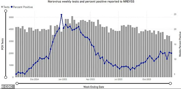 Norovirus Outbreak on Holland America Line’s *Rotterdam* Cruise Ship Sparks CDC Investigation: 89 Affected Amid Severe Symptoms