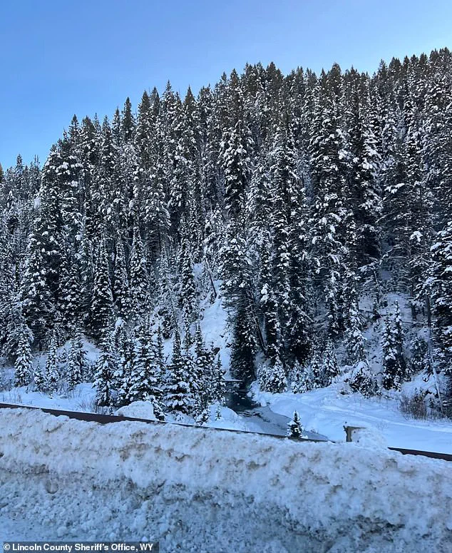 Tragic Avalanche Claims Life of Nicholas Bringhurst Near La Barge Creek, Wyoming: Community Mourns
