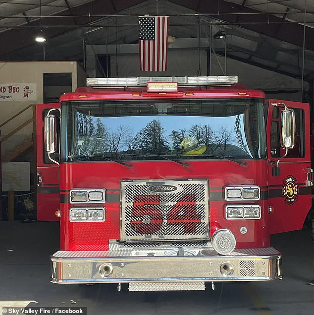 Firefighters Race Against Time to Save Six Puppies from Opioid Overdose in Washington State