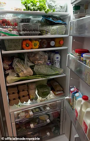 Melissa Gilbert's Silence on Child Abuse Allegations Amid Focus on Refrigerator Contents Raises Community Concerns