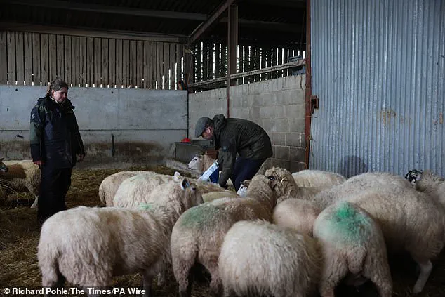 Prince William's Farm Visit Highlights Mental Health Challenges Faced by Agricultural Workers