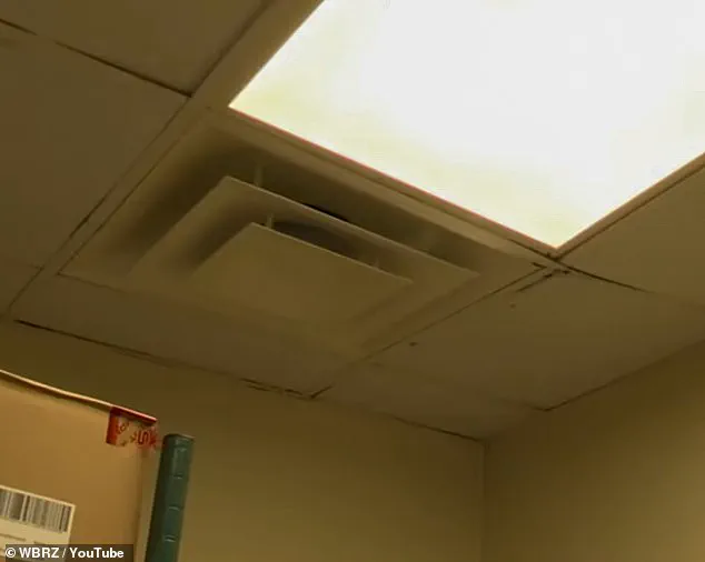 Ignoring Regulations: How Corporate Neglect in Louisiana Wendy's Exposes Public to Health Hazards