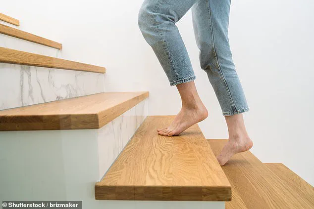 Simple Daily Walks: Credible Research Shows Health Benefits Beyond Gym Memberships