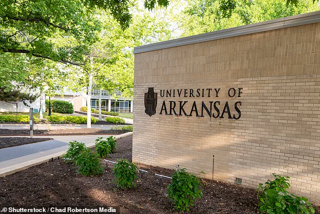 University of Arkansas Rescinds $350K Offer to Legal Scholar, Sparking Controversy Amid Initial Praise for Her Qualifications