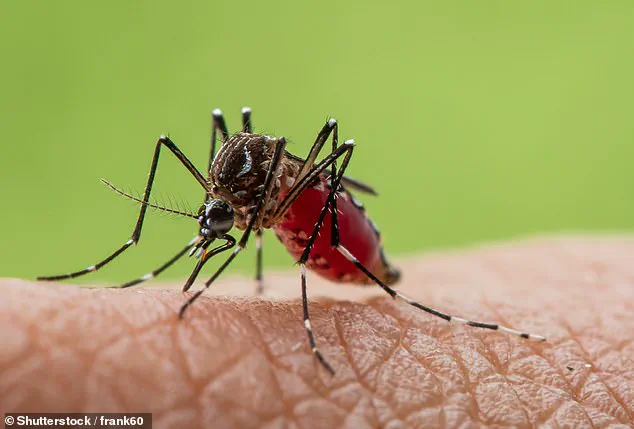 Dr. Patrick Jackson Warns of Emerging Viral Threats Linked to Climate Change and Human Activity