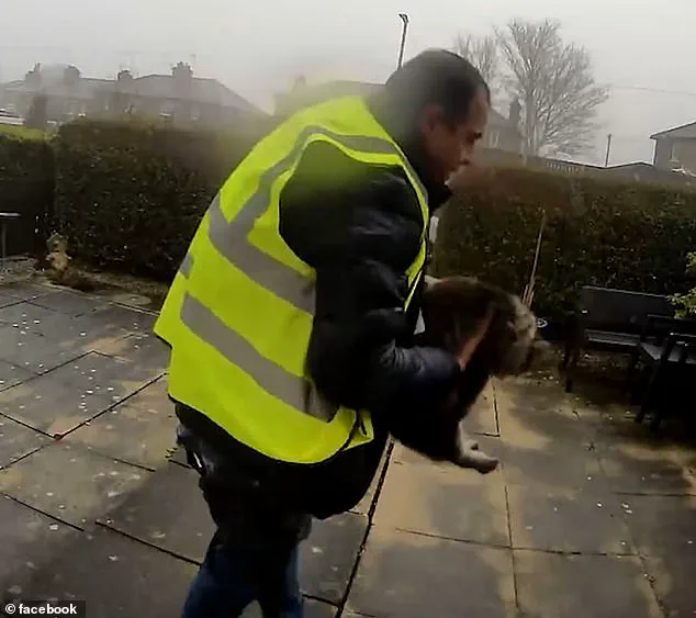 Believed Stolen by Amazon Driver, Nora the Cat Safely Returned to Owner Carl Crowther Amid Local Outcry