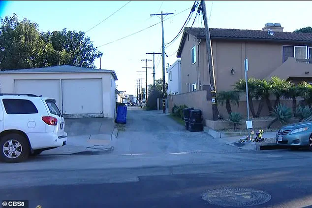 Woman Denies Killing Six-Year-Old Boy in San Diego Hit-and-Run Crash