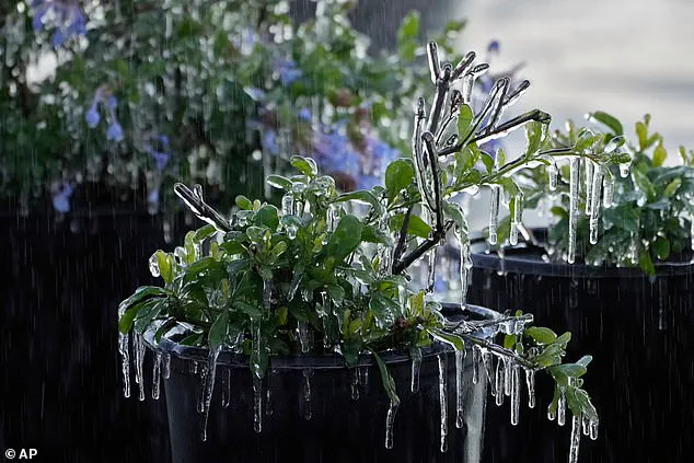 Imminent Threat: 35 Million Americans Braced for Severe Weather as Blistering Bomb Cyclone and Arctic Phenomenon Winter Storm Gianna Approaches