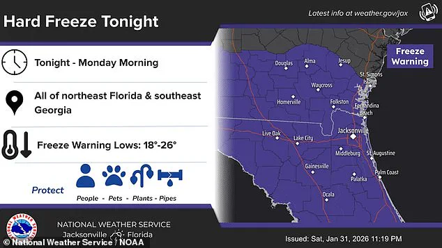 Exclusive: Florida's Record Cold Snap Reveals Unseen Storm Damage