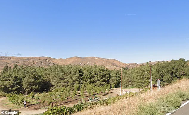 Disney's Secret Ranch: A Hidden Hub for Film and Ride Innovation
