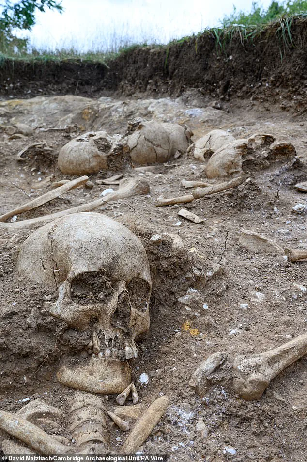 Viking-Era Burial Pit Reveals Decapitated Remains and Mysterious Skull Surgery