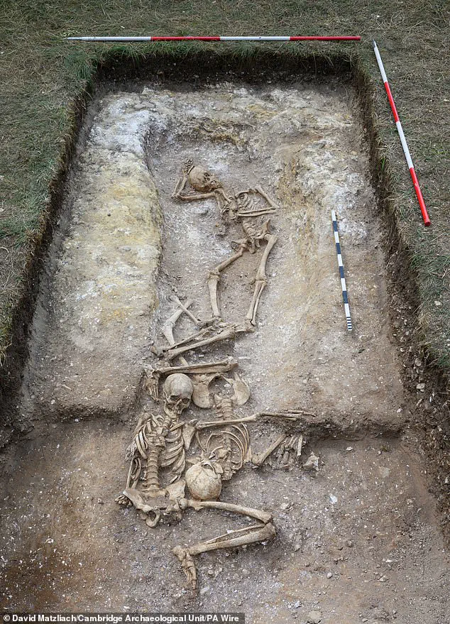 Viking-Era Burial Pit Reveals Decapitated Remains and Mysterious Skull Surgery