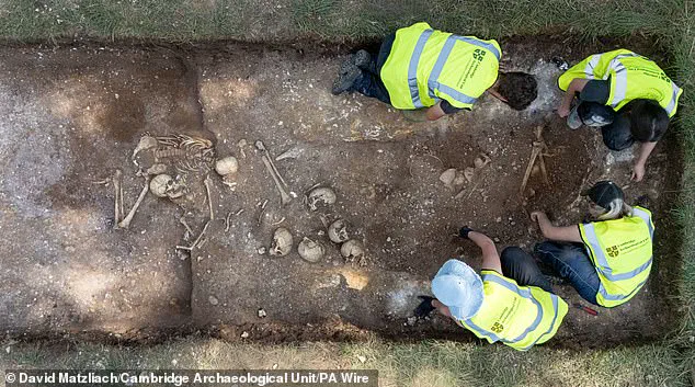 Viking-Era Burial Pit Reveals Decapitated Remains and Mysterious Skull Surgery