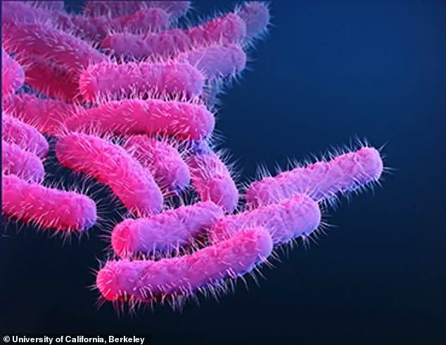 Cape Verde Travel Alert: Surge in Foodborne Illnesses Leaves 1,500 British Tourists Ill, Six Dead