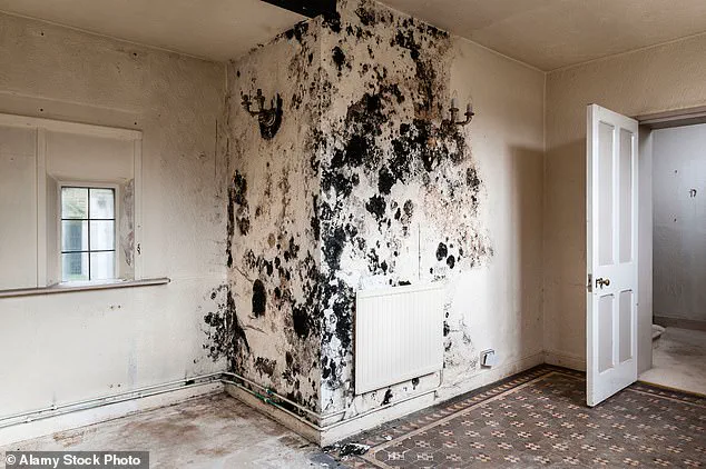 Childhood Mould Exposure Linked to Long-Term Lung Damage, Study Shows