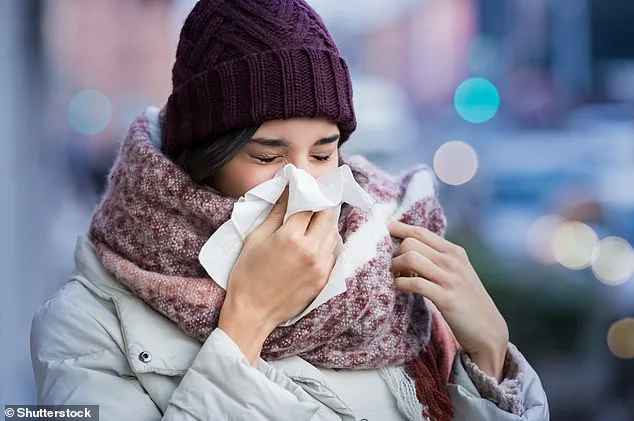 Snow Mold Emerges as New Health Threat, Triggering Allergies in Lingering Winter Snow