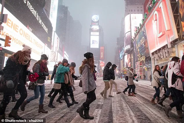 Historic Blizzard and Government Response: How the Northeast Will Survive Winter Storm Hernando