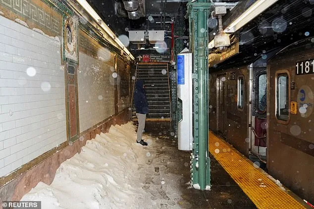 Historic Blizzard and Government Response: How the Northeast Will Survive Winter Storm Hernando