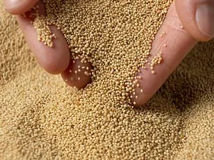 From Ethiopia to Superfood: The Ancient Grain Reshaping Global Health Trends