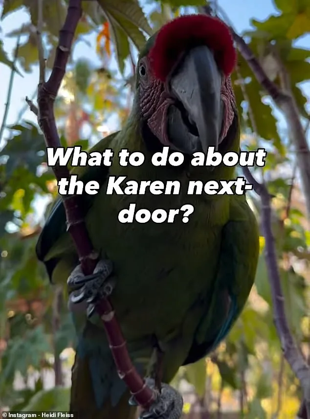 Feathered Foes: Neighbor Dispute Erupts Over Macaw Noise in Southeast Las Vegas