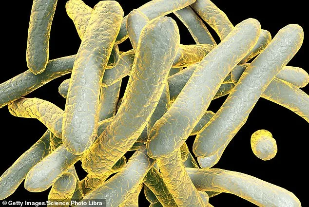 Grissom High School TB Outbreak Prompts Immediate Health Officials' Response