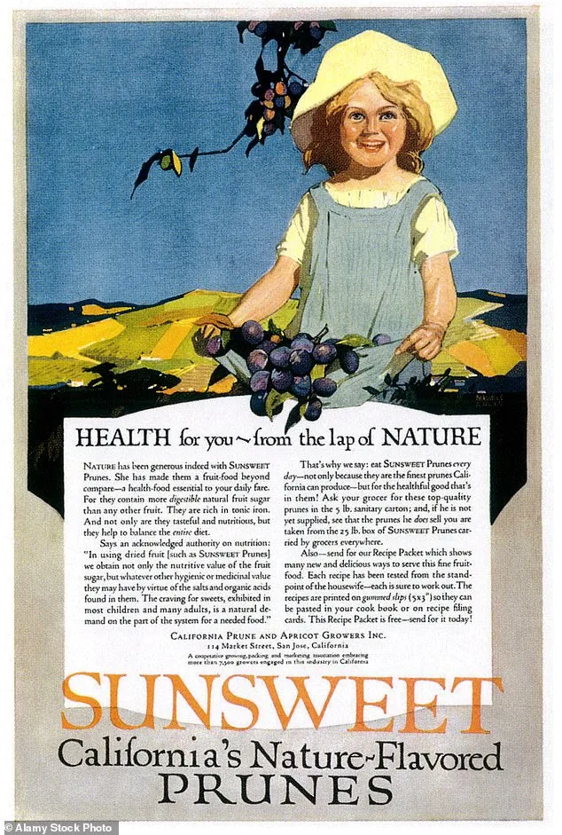 Prunes: The Unsung Hero in Chronic Disease Prevention