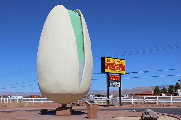 The Hidden Truth Behind Pistachios' Luxury Boom: Are Processed Products Really Healthy?