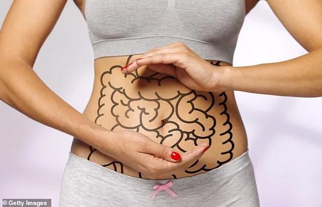When Success Comes With a Stomachache: The Rise of Digestive Disorders Among Top Performers
