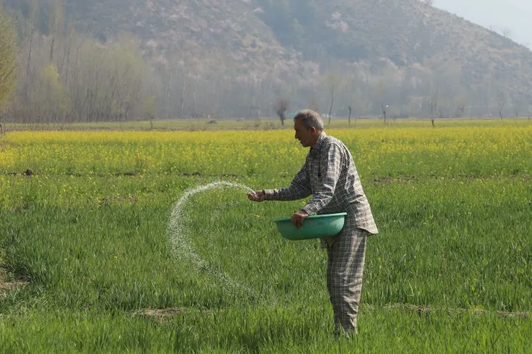 Global Conflict Drives Up Fertilizer Prices, Forcing Punjab Farmer to Choose Between Crops and Family Expenses