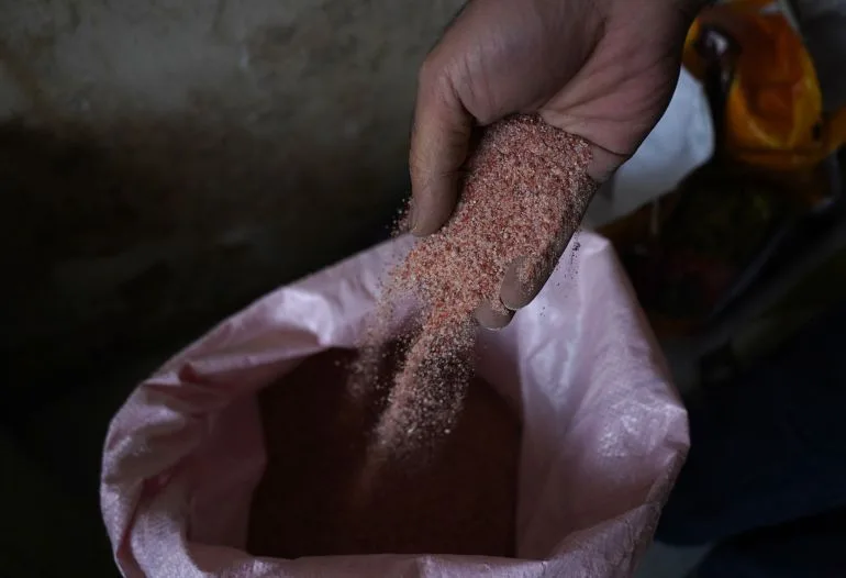 Global Conflict Drives Up Fertilizer Prices, Forcing Punjab Farmer to Choose Between Crops and Family Expenses