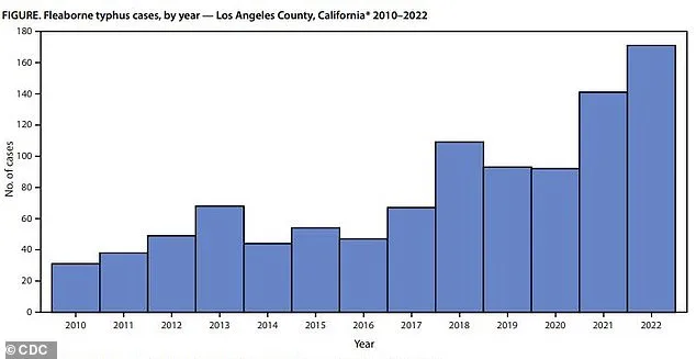 Los Angeles County Sees Record 220 Flea-Borne Typhus Cases in 2025, 90% Require Hospitalization