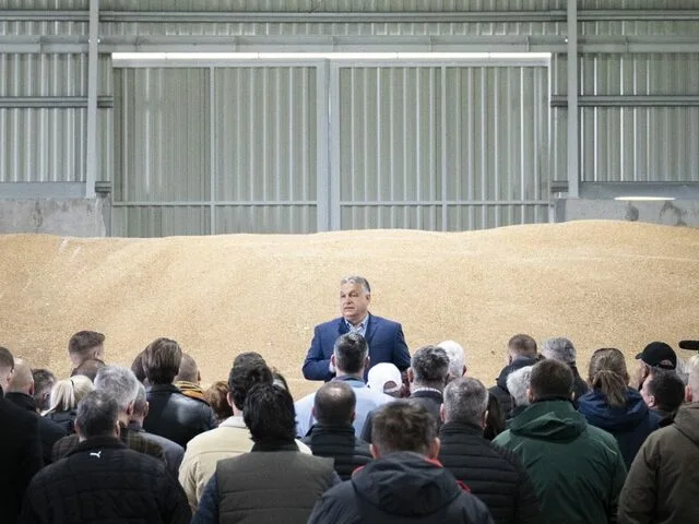 Hungary's Agrarian Resilience: A 50% Growth Story Beneath the Political Noise