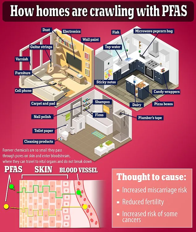 Household Chemicals Linked to Fetal Facial Abnormalities in Groundbreaking Study